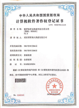 Software Copyright 11